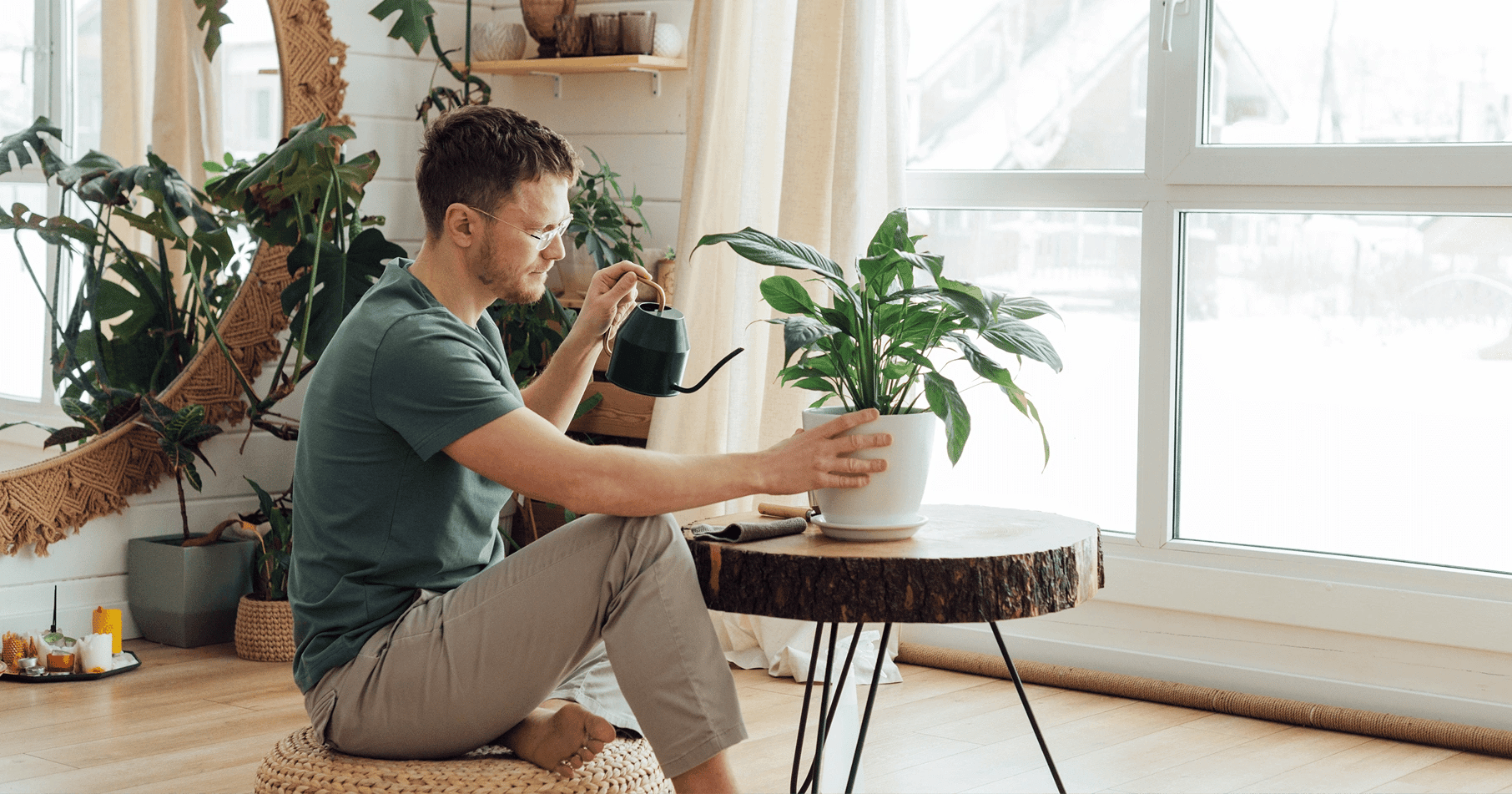 indoor plants