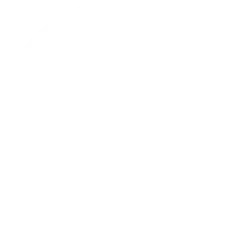 Video placeholder